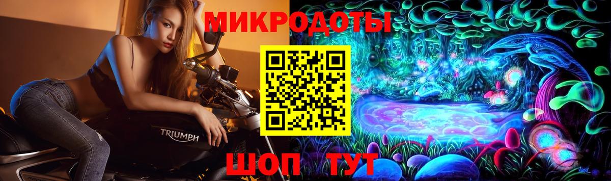 Псилоцибиновые грибы Psilocybe Аргун